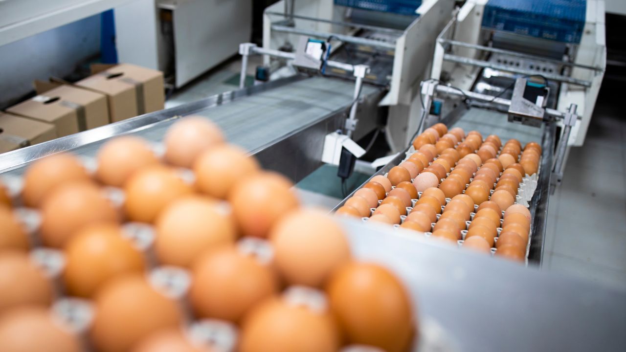 Eggs_1280x720